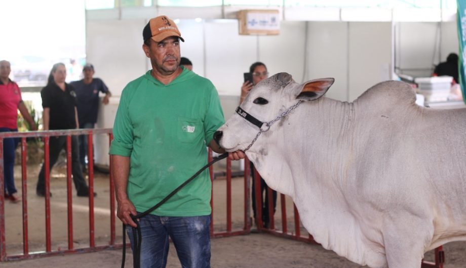 Exposul Rural 2023 será em maio, no novo centro de eventos de Cachoeiro