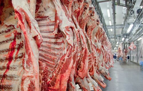 Receita com exportação de carne bovina cai 29% com suspensão após caso de vaca louca