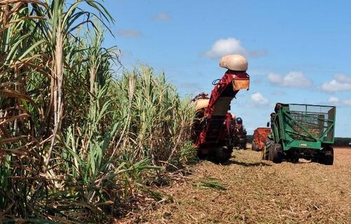 Valor Bruto da Produção da agropecuária deve crescer 12,5% em 2020, segundo a CNA