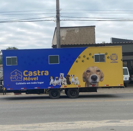 Câmara de Cachoeiro vai debater controle populacional de animais de rua