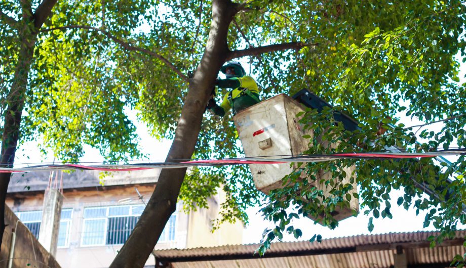 Região central de Cachoeiro recebe mutirão de poda de árvores