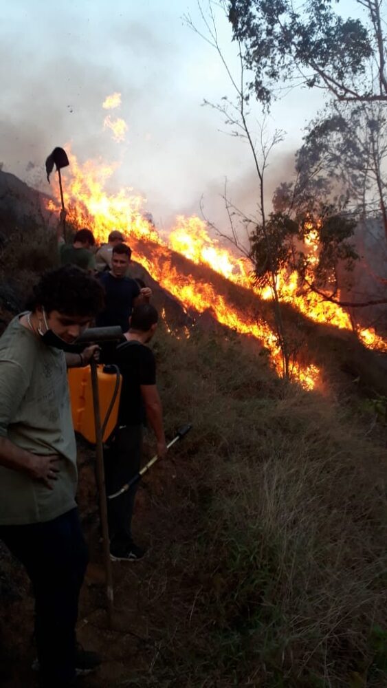 Bombeiros controlam incêndio em área de vegetação em Alegre/ES