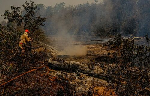 Mato Grosso do Sul recebe R$ 3,8 milhões para combate a incêndios florestais