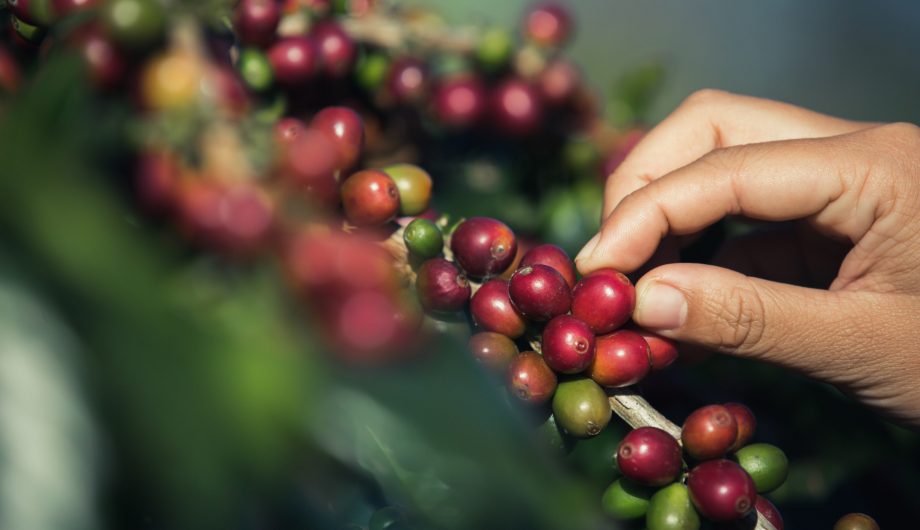 Editais de apoio disponibilizarão equipamentos e retroescavadeira para produtores rurais