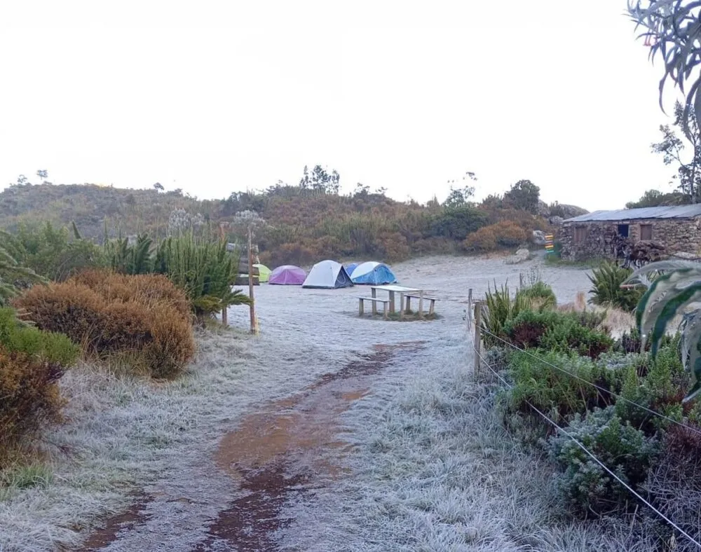 Frio abaixo de zero e geada transformam paisagem