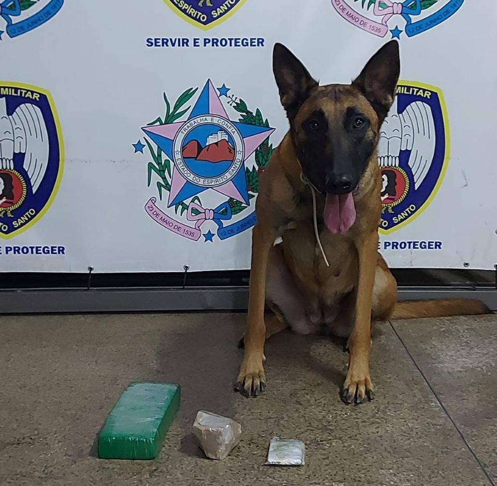 Unidadade K9 apreende maconha e crack em Guaçuí