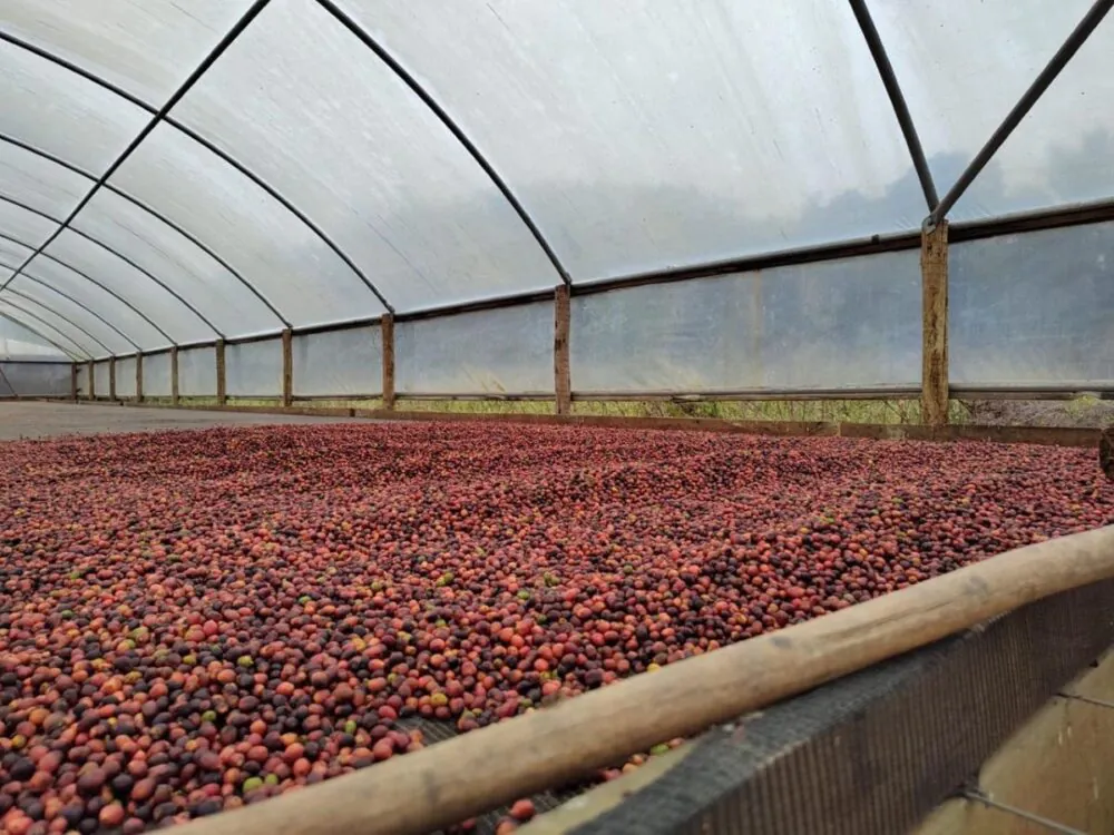 ES cresce 9,2% em crédito rural no início do ano-safra