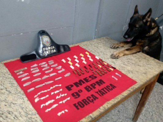 Cão Messi encontra drogas em Cachoeiro