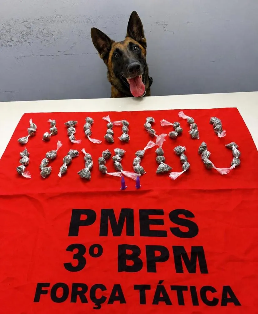 Equipe K9 do 3º Batalhão localiza drogas em Guaçuí