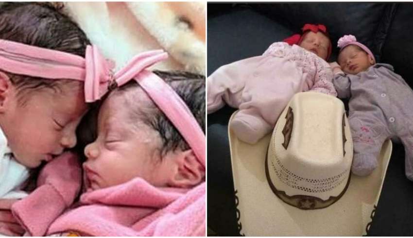 Bebês gêmeas morrem após ataque de cachorro da família