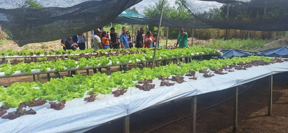 Dia de Campo em Aracruz apresenta tecnologia para produção integrada de peixes e hortaliças