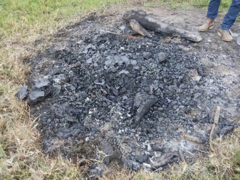 mulher mandou matar família porque queria ser única herdeira da família