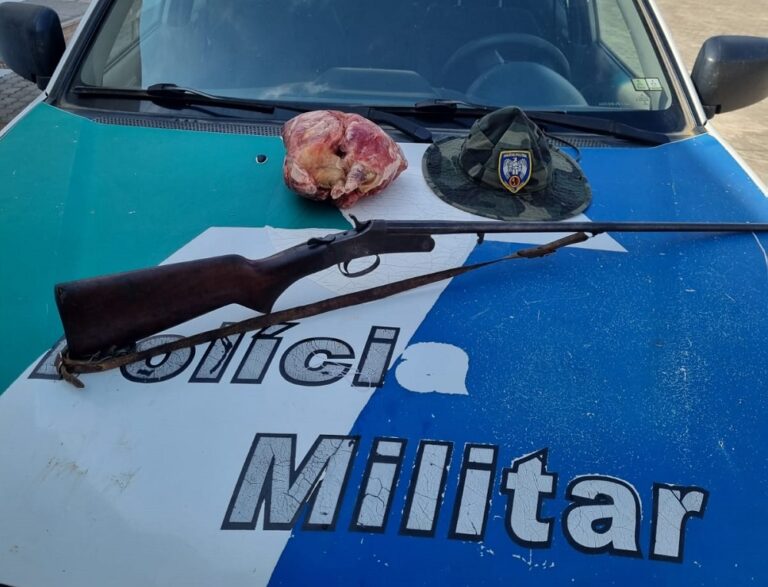 Polícia Ambiental apreende espingarda e tatu congelado em Celina