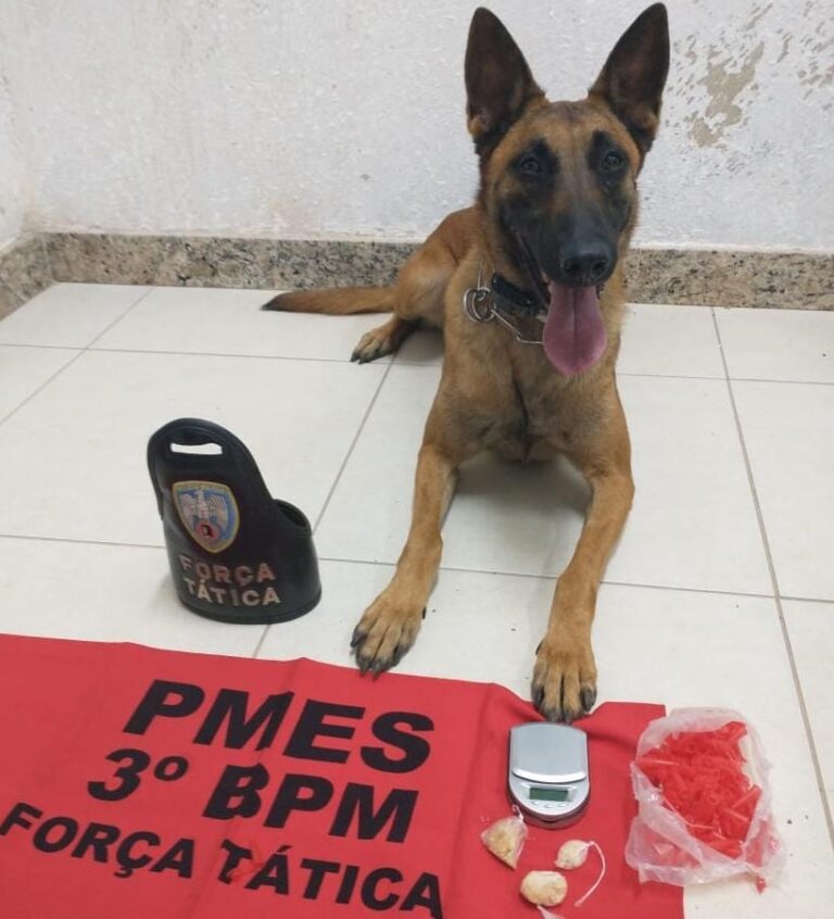 Força Tática prende homens em duas ações em Alegre