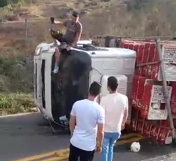 Caminhão de frangos vivos tomba na Rodovia Pedro Cola