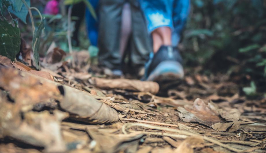 Inscrições abertas para caminhada turística no interior de Cachoeiro