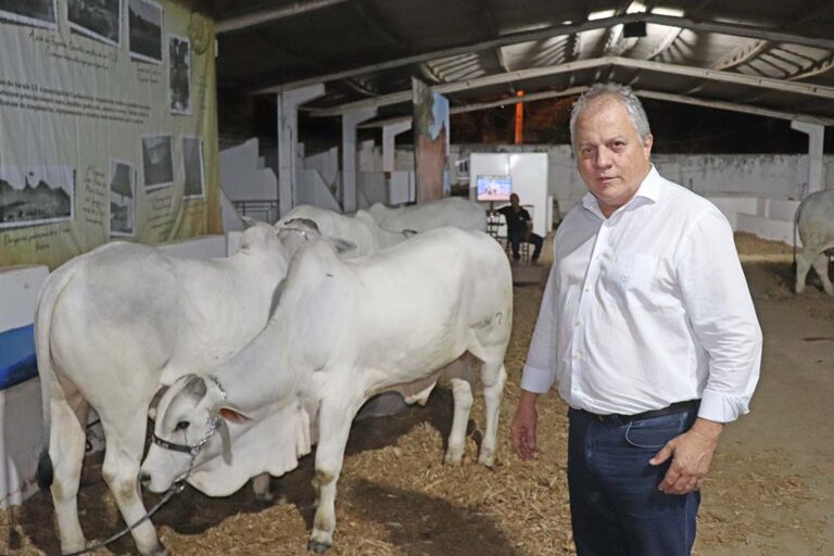 Programa prevê R$ 10 milhões para acelerar fertilização in vitro de rebanho capixaba