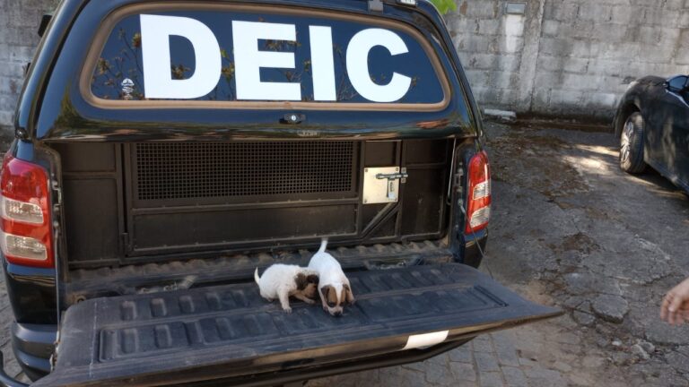 Polícia prende casal acusado de golpe dos cães de raça