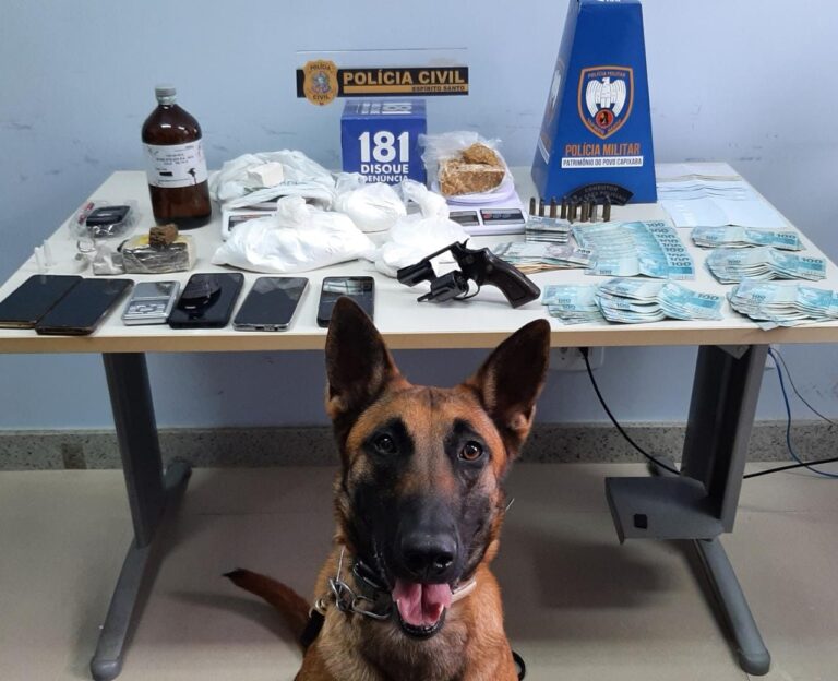Cadela Alga sinaliza e polícia encontra cocaína, crack e maconha em fábrica de velas
