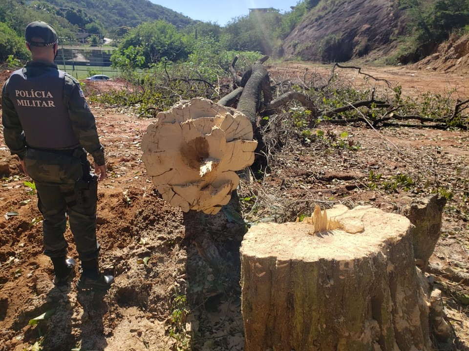 BPMA constata aterro e desmate em vegetação nativa em Cachoeiro de Itapemirim