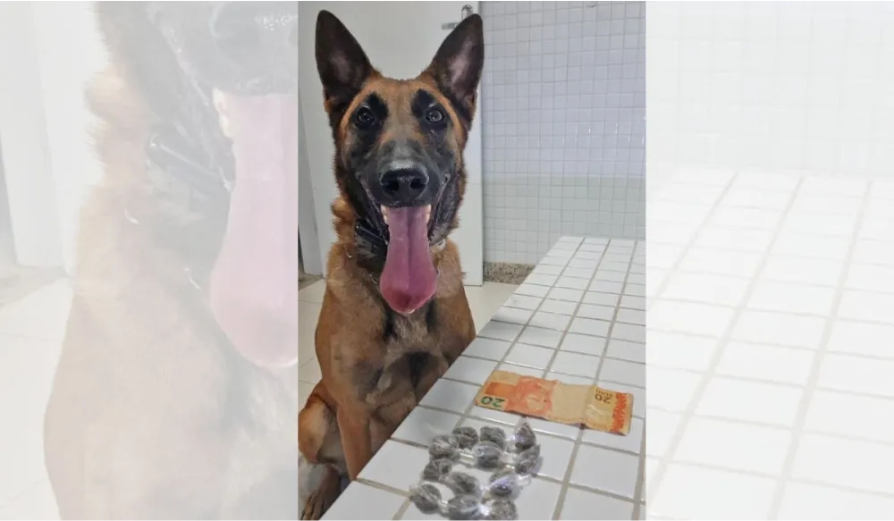 Suspeito de tráfico tenta se desfazer de droga