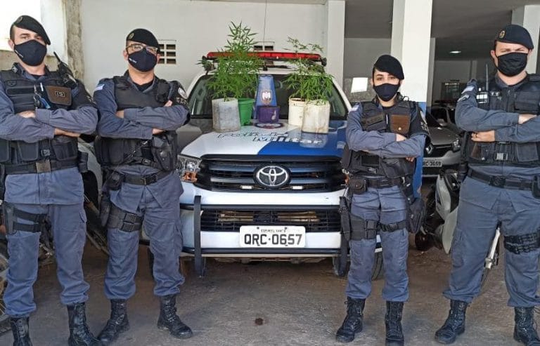 Plantação de maconha em casa