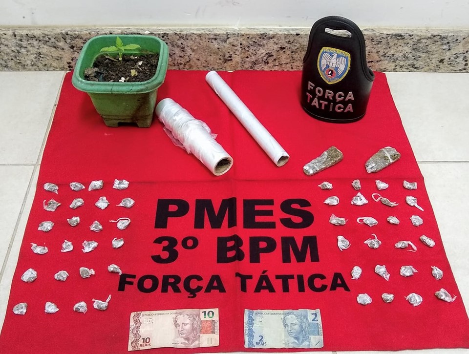 Força Tática do 3º Batalhão apreende drogas e pé de maconha em Alegre